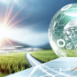 5 Cara Praktis dalam Meminimalkan Jejak Ekologis Ecological Footprint